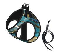 Azurite Teal and Foil Gold Oil Marble Pattern Print Dog Harness and Leash Set,Breathable Adjustable Escape Proof Vest for Dogs, Cats