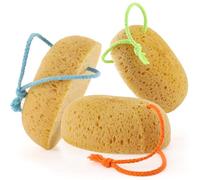 Azymi Shower Sponge, 3Pcs Soft Bath Sponges for Women Men for Body Face, Dense Foam for Gentle & Deep Cleansing, Ultra-Soft for Sensitive Dry Skin (Colors Loops)