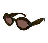 AZZEDINE ALAÏA AA0059S 003 Woman Sunglasses Acetate Havana Brown Pantos