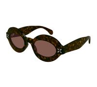 Azzedine Alaia AA0059S 003 Womenâs Sunglasses Tortoiseshell Size 49