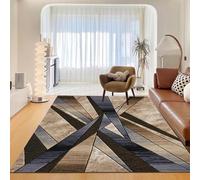 B&B Rugs for Living Room, Bedroom, Dining Room, Kitchen Rugs Solid Geometric Pattern Magestic Super Soft Thick High Pile Large Living Room Carpet Home Decor Rugs - 120 x 170 cm