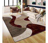 B&B Velvet Curve Area Rugs for Indoor - Luxury Super Soft Cozy Dense Thick Pile Shaggy Rug for Bedroom Living Room Kitchen Hall Entrance Carpet Mat (120 x 170 cm, Rust)