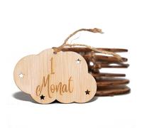 B.BachVibes - Baby-Embleme aus Holz - Set mit 14 Monatsscheiben - Ideal für Neugeborenenfotos und Geschenk zur Babyparty (German)