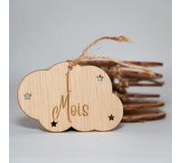 B.BachVibes - Plaques mensuelles en Bois Pour bébé - Ensemble de 14 disques mensuels - Idéal Pour les Photos de Nouveau-nés et Comme Cadeau Pour une Baby Shower. (French)