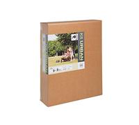 Bellelli B Travel Urban Conversion Kit Orange Boy