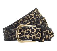 b.belt belt Cat Silver Belt W85 Black - Gold