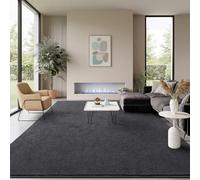 B BENRON Soft Rugs for Living Room 4x6 Dark Grey, Minimalist Area Rug for Bedroom Nursery Dining Table Dorm, Throw Rugs for Men Boys Girls Kids Room Indoor Floor Carpets