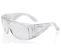 BEESWIFT Spectacles Boston Clear BBBS