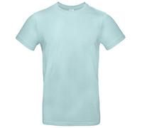 B&C Men's #E190 Tee, Mellennial Mint, L. TU03T