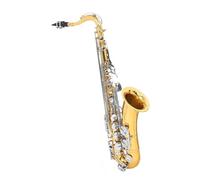 B Flat Alto Saxophone For Beginners With Cleaning Wipes Carrying Case Neck Strap Reeds And Complete Instrument Set Beginner Saxophone