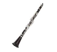 B Flat Clarinet For Beginner 650 Professional Beginners Bb Clarinet Ebony Clarinets Ebony Wood Silver Plating Key Musical Instruments Case Reeds