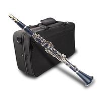 B Flat Clarinet For Beginner ABS Beginner Bb Clarinet With Case 10pcs Reeds Strap Carrying Case