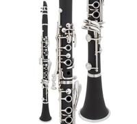 B Flat Clarinet For Beginner B Flat Beginner Clarinet With 2 Barrels Case Stand 10 Reeds