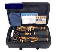 B Flat Clarinet For Beginner Bb Clarinet 17 Key Sib/ABS Body Material Clarinette(E111)