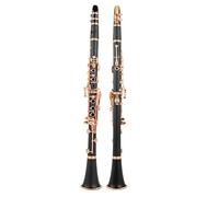 B Flat Clarinet For Beginner Bb Clarinet Lacquer Rose Gold 17 Keys Sib Clarinet Black Clarinete RCL-700NF