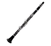 B Flat Clarinet For Beginner Clarinet Falling Tune B Clarinet Wood Ebony Clarinet Tube 17 Keys Clarinet YCL-500