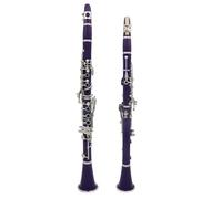 B Flat Clarinet For Beginner Colour Bb Clarinet 17 Keys 6 Rings Clarinet Playing Practice For Music Lovers/Beginners(Purple)
