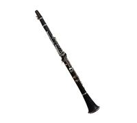B Flat Clarinet For Beginner G Key 20-key Clarinet ABS Resin Key Material Nickel Plated Key