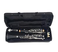 B Flat Clarinet For Beginner G Tune 20 Key Clarinet ABS Resin Body Material Nickel Plated Keys
