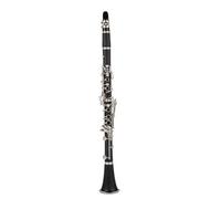 B Flat Clarinet For Beginner Music Lovers B-flat Tune Professional Woodwind Instruments Clarinet Black Tube With Case Accessories