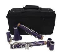 B Flat Clarinet For Beginner Professional Clarinet Bb Clarinet Instrument Clarinet Sib 17 Keys Music Lovers Play Instruments(Purple)