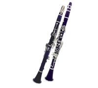 B Flat Clarinet For Beginner Purple Bb Clarinet B-flat Beginner Clarinet For Orchestras Adults(Purple)