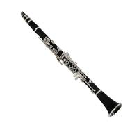 B Flat Clarinet For Beginner Treble B-flat Clarinet Examination Clarinet Double Two-section B-flat Clarinet Instrument(B)