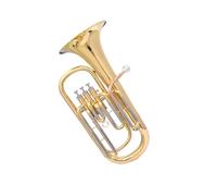 B Flat Major Tenor Horn Euphonium Playing Three Keys(1)