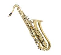 B flat tenor saxophone cyan for beginners Comes with a portable case reed cleaning kit gloves and neck strap Beginner Saxophone