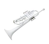 B-flat Three-tone Trumpet Brass Instrument Horn Student Beginner Band Professional Performance Examination (Color : Paint)