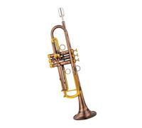 B Flat Trumpet Antique Brass Finish Beginner Trumpet | Professional Brass Instrument - Includes Hard Case