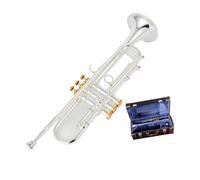 B Flat Trumpet Beginner Trumpet | Silver plated Brass