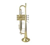 B flat trumpet brass instrument for beginners and adults Standard Trumpet