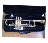 B Flat Trumpet Brass Instrument Phosphor Bronze Mouthpiece Tube Tuned White Copper Tube Brass Mouth