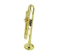B Flat Trumpet Gold Beginner Trumpet | Suitable for Beginners and Professional Players(Gold-colored)