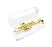 B-flat Trumpet Instrument Brass Tube Body Gold Trumpet With Mouth Accessories Suitable Beginner Adult