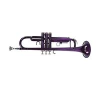 B Flat Trumpets, Replacement Good Resonance Detachable Mouthpiece Brass Trumpet Set with Storage Bag for Music Learning(Purple)