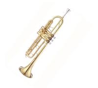 B Key Trumpet Brass Instrument Beginners Introductory Performance Examination String Band Beginner Trumpet