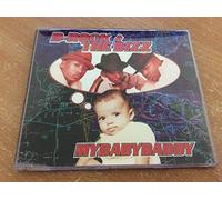 B Rock & The Biz - My Baby Daddy