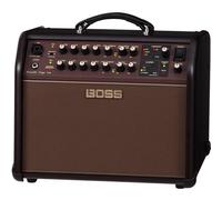 Boss ACS Acoustic Singer Live
