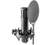sE Electronics SE2200 Large-Diaphragm Condenser Microphone