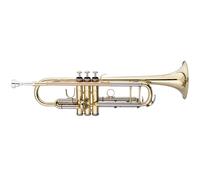 B trumpet, mouthpipe in gold brass, in softcase