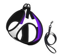 B&W Purple Hearts Beating No Pull Dog Harness and Leash Set, Cute Reflective Adjustable Vest for Small Dogs,Breathable Mesh Puppy Harness for Walking Hiking,Large