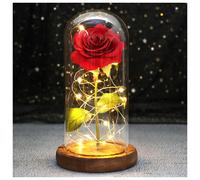 (B17) Wedding LED Enchanted Galaxy Rose With Lights In Dome Beauty and the Beast Rose