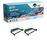 B210 Drum Unit Compatible for Xerox B205V_NI B210V_DNI B215V_DNI Printers, High-Definition Printing Effect with Chip, 10000 Pages (2-Pack Black)