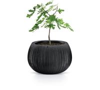 B2C Beton Effect Bowl Plastic Flower Plant Garden Indoor Outdoor Planter Pots Lined Black Concrete Effect L