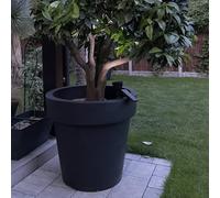 B2C Big Plant Pots Extra Large Indoor Outdoor Planter, Garden Pot Massive Tree Pot. 430 Litres Anthracite