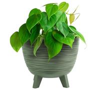 B2C Bowl Planter Plant Pot with Legs Oval Flower Modern Decorative FURU Indoor 4 Colours Modern Elegant Plqastic Matt Finish Textured Home Office Balcony Lightweight (Green, 39.5m)