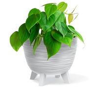 B2C Bowl Planter Plant Pot with Legs Oval Flower Modern Decorative FURU Indoor 4 Colours Modern Elegant Plqastic Matt Finish Textured Home Office Balcony Lightweight (White, 29cm)