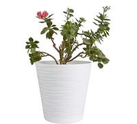 B2C Flower Pots 6 Colours 8 sizes Matt Plastic Plant Pots Planter + Saucer Tray Deco (White, 30 cm)